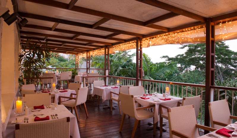 Mount Cinnamon-Savvys_939